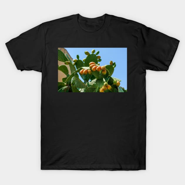 Orange fruits of Opuntia ficus-indica (prickly pear) T-Shirt by lena-maximova